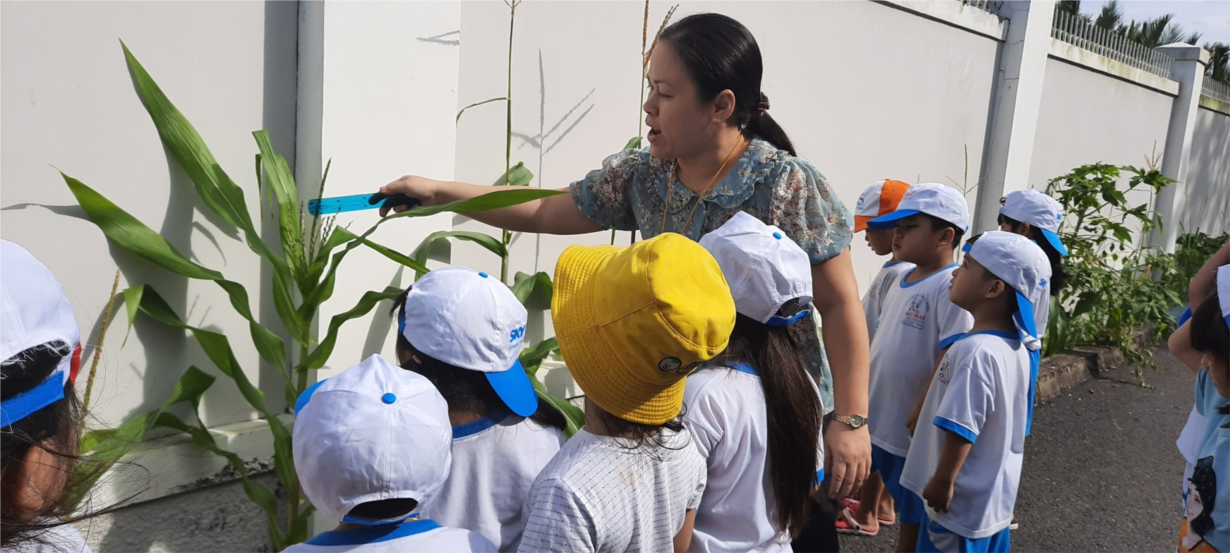 Bé quan sát cây bắp